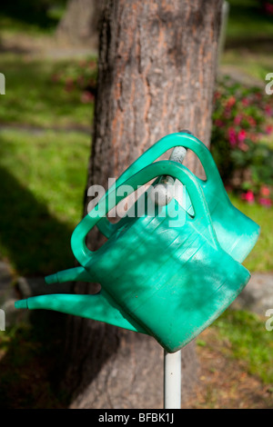Lattine per innaffiatura verdi , Finlandia Foto Stock