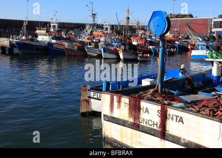 Ormeggiati pescherecci nel porto di Funchal, Madeira, Oceano Atlantico, Portogallo. Foto di Willy Matheisl Foto Stock