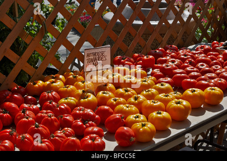 Pomodori di serra in un mercato degli agricoltori, Adams Morgan, Washington DC. Foto Stock