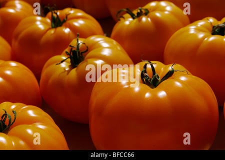 Pomodori di serra in un mercato degli agricoltori, Adams Morgan, Washington DC. Foto Stock