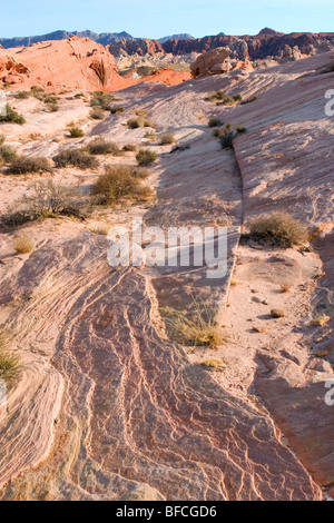 I pendii di arenaria illuminati dal sole mostrano linee e texture stratificate, punteggiati di arbusti del deserto attraverso un paesaggio aspro e arido sotto cieli azzurri Foto Stock