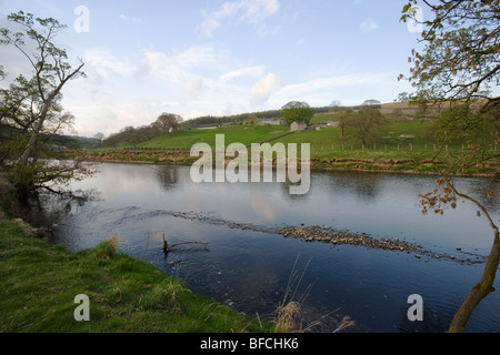 Il fiume Wharfe sul Bolton Abbey Estate in Wharfedale,Yorkshire Foto Stock