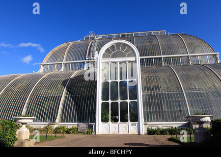 Regno Unito west London kew gardens, le temperate house Foto Stock