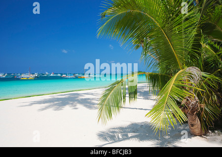 Spiaggia di sabbia bianca e mare, palme e cielo blu Boracay; Il Visayas; Filippine. Foto Stock