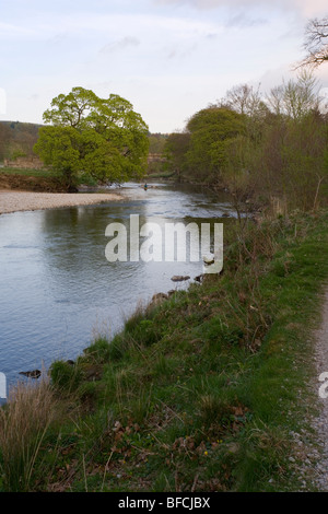 Guardando in giù il fiume Wharfe verso un pescatore solitario sul Bolton Abbey Estate in Wharfedale,Yorkshire Foto Stock