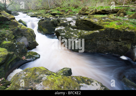 L 'hotel Astrid un canale stretto sul fiume Wharfe a Bolton Abbey in Wharfedale nello Yorkshire Foto Stock