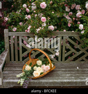 Cesto di rose di crema su una tavola di legno panchina da giardino nella parte anteriore del rosa rosa bush Foto Stock