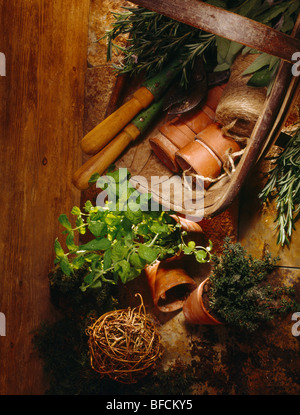 Close-up di trug in legno con terracotta piccoli vasi di fiori e mano-strumenti e tagliare bunchs di erbe in un Potting Shed. Foto Stock