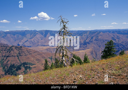 Una panoramica di Hell's Canyon National Recreation Area sullo Snake River in Idaho e Oregon. Foto Stock