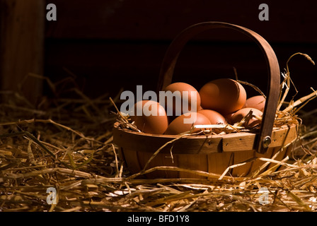 Uova di gallina casa Foto Stock