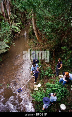 La qualità delle acque per la lezione schoolkids, Victoria, Australia Foto Stock