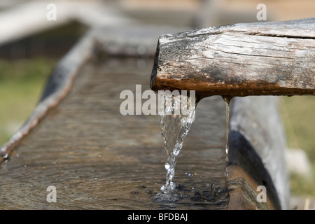 Montagna di fresca acqua sorgiva, tradizionale fontanella e trogolo per la fornitura di acqua per animali domestici. Alpi italiane Foto Stock