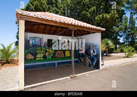 Fermata bus con wallpainting nel nord-ovest delle isole canarie La Palma Isole Canarie Spagna, Europa. Foto Stock