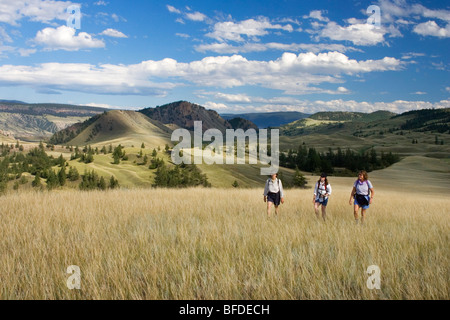 Escursionismo nel Churn Creek Area Protetta praterie di British Columbia, Canada Foto Stock