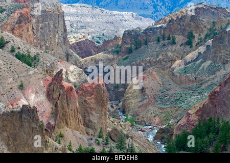 Canyon in Churn Creek Area Protetta, British Columbia, Canada Foto Stock