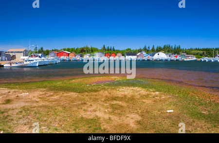 Panoramica di barche nel nord Rustico Harbour, Prince Edward Island, Canada Foto Stock