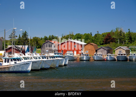 Barche in Nord Rustico Harbour, Prince Edward Island, Canada Foto Stock