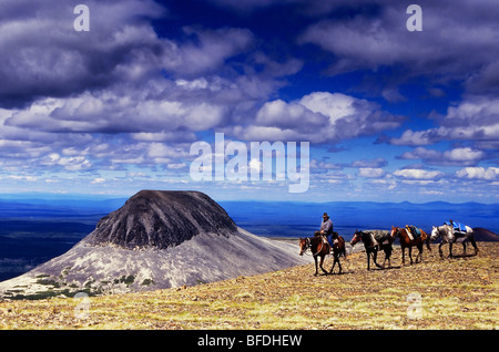 Un pack trail di viaggiare attraverso le montagne vulcaniche entro Itcha Ilgachuz Parco Provinciale in British Columbia, Canada Foto Stock