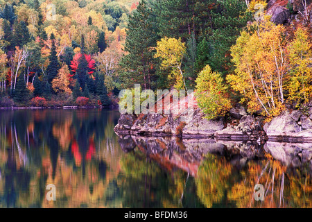 Costello Lago in autunno, Algonquin Provincial Park, Ontario, Canada Foto Stock
