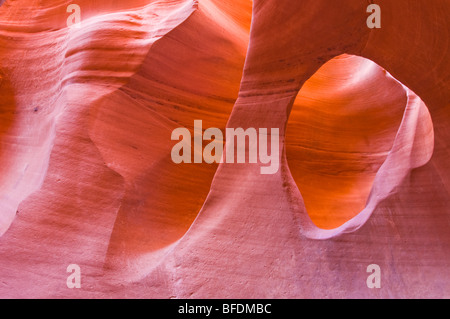 Formazioni di arenaria in peek-a-boo Gulch, Grand Staircase-Escalante monumento nazionale, Utah Foto Stock