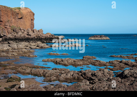 Rocce come Eyemouth Bay Berwickshire Scozia Scotland Foto Stock