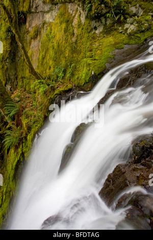 Una cascata di montagna a Goldstream Provincial Park in Victoria, Isola di Vancouver, British Columbia, Canada Foto Stock