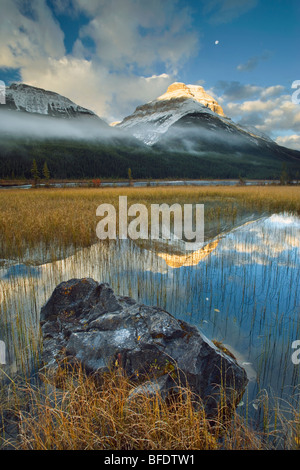 Il baluardo di stagni con Mount Athabasca e Mount Amery, il Parco Nazionale di Banff, Alberta, Canada Foto Stock