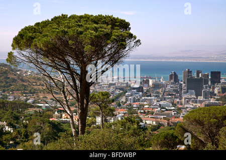 Vista su tutta la Città del Capo skyline e Harbour, Sud Africa. Foto Stock