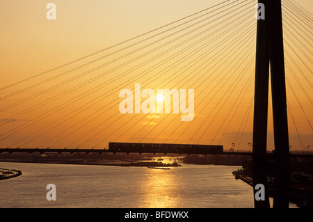 Lo Skytrain ponte sul fiume Fraser tra Surrey e New Westminster, British Columbia, Canada Foto Stock