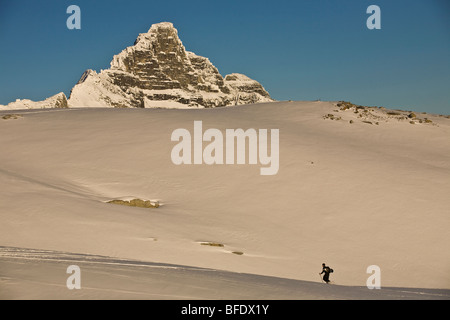 Uno sciatore uptracking nelle prime ore del mattino a Rogers Pass, il Parco Nazionale di Glacier, British Columbia, Canada Foto Stock