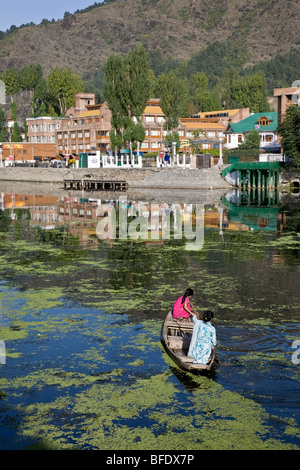 Le donne indiane paddling una barca (shikara). Dal Lago. Srinagar. Il Kashmir. India Foto Stock