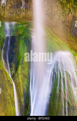 Abbassare Calf Creek Falls, Grand Staircase-Escalante monumento nazionale, Utah Foto Stock