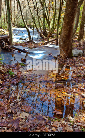 Fiume Oconaluftee, Great Smoky Mountains National Park, North Carolina Foto Stock