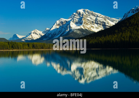 Montare Patterson, riflessa in basso Lago di uccelli acquatici, Icefields Parkway, il Parco Nazionale di Banff, Alberta, Canada Foto Stock