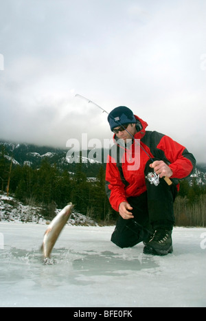 Gli spruzzi di trota iridea (Oncorhynchus mykiss) , Okanagan, British Columbia, Canada Foto Stock