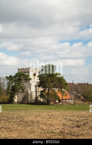 Chiesa di Santa Maria in Streatley on Thames, Berkshire, Regno Unito Foto Stock