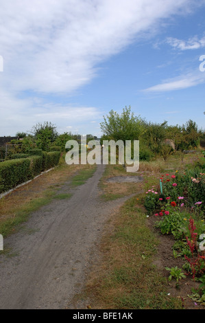 Uno di una serie di foto che ritrae una donna più anziana in bicicletta giù per un sentiero sterrato attraverso una sezione di singoli giardini. Foto Stock