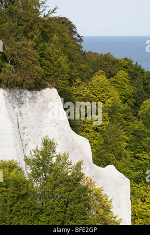 Chalk cliff Koenigsstuhl, re della sedia, nel Jasmund National Park, un punto di riferimento di Ruegen isola, Germania Foto Stock