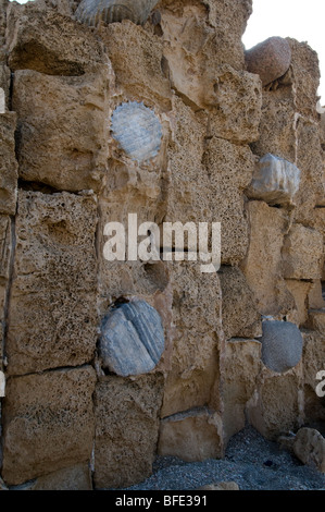 Crociato pareti costruite utilizzando colonne romane e blocchi ,Ceasarea Israele Foto Stock