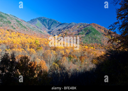 Vista dalla ritrovata Gap Road, Great Smoky Mountains National Park, Tennessee Foto Stock