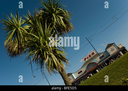 La passeggiata sul lungomare pier luci, palme Teignmouth, Devon, Inghilterra, Regno Unito Foto Stock