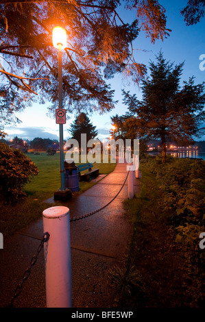 Seawalk, Port Hardy è inondato di luce da un lampione, Port Hardy, Isola di Vancouver, British Columbia, Canada Foto Stock