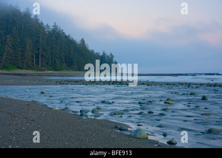 La spiaggia lungo la West Coast Trail sull'Isola di Vancouver, British Columbia, Canada Foto Stock