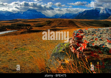 La vista guardando nel Parco Nazionale dei laghi di Waterton dalla penna di bisonte, Alberta, Canada Foto Stock