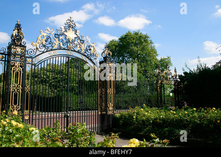 Queen Mary's Garden nel cerchio interno del Regent's Park, Londra Foto Stock