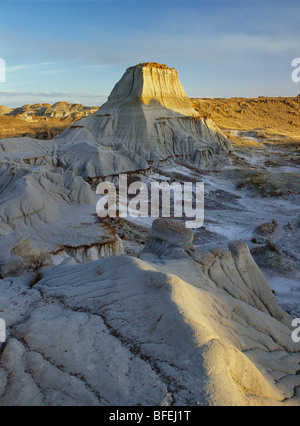 Red Deer River badlands, Parco Provinciale dei Dinosauri, Alberta, Canada Foto Stock