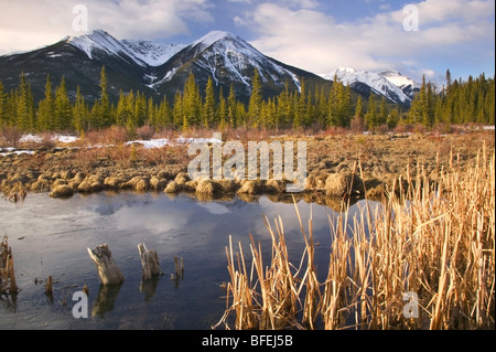 Terzo Lago Vermiglio e il Sundance gamma, il Parco Nazionale di Banff, Alberta, Canada Foto Stock