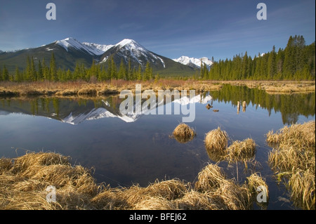 Terzo Lago Vermiglio e il Sundance gamma, il Parco Nazionale di Banff, Alberta, Canada Foto Stock