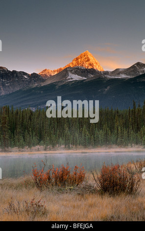 Mt. Edith Cavell da Fryatt stagni, Jasper National Park, Alberta, Canada Foto Stock