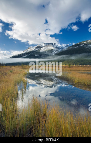 Cimitero di appartamenti con il nord del Fiume Saskatchewan e Mount Amery, il Parco Nazionale di Banff, Alberta, Canada Foto Stock